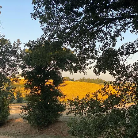 Casa di campagna Domaine Labatut *